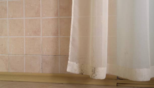 Best Dehumidification Services  in Rexland Acres, CA