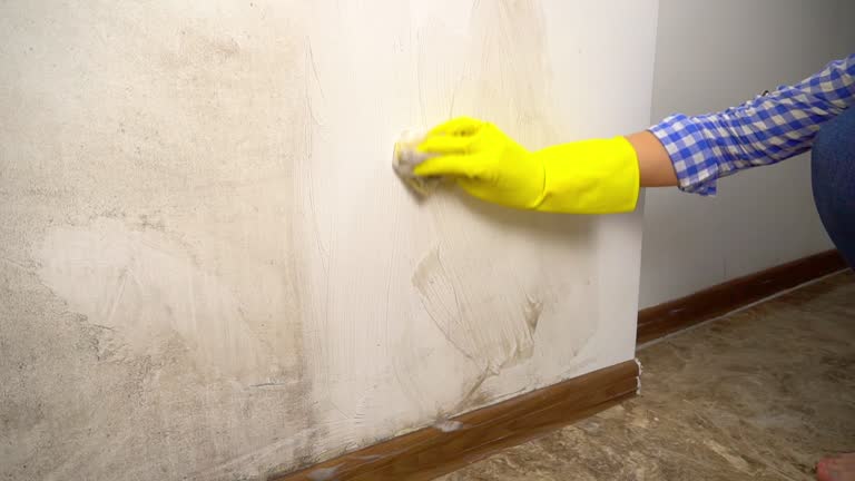 Best Indoor Air Quality Assessment  in Rexland Acres, CA